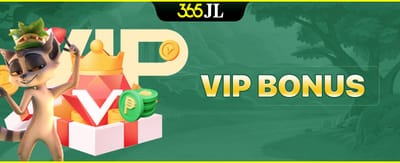 VIP Bonus gaming experience