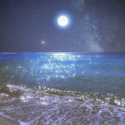 Alex Gonzaga's avatar